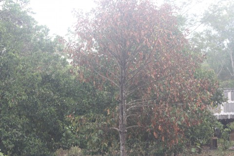 IMG_8905.JPG