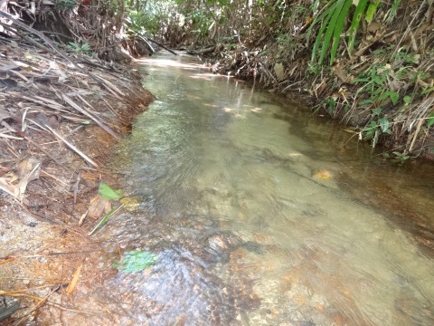 ทางน้ำผ่านหลังสวน