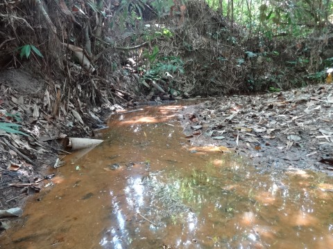 สายน้ำที่เปลี่่ยไป