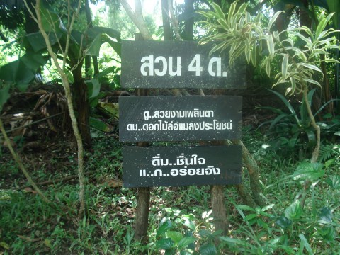 สวน ๔ ด