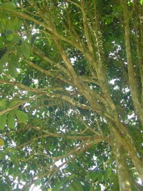 DSC03050 (Small).JPG