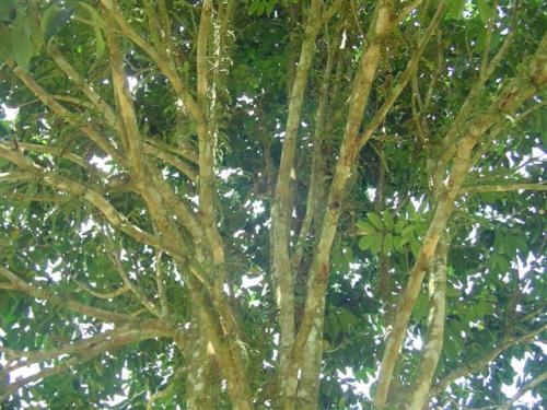 DSC03055 (Small).JPG