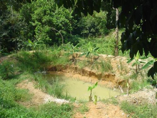 DSC03057 (Small).JPG