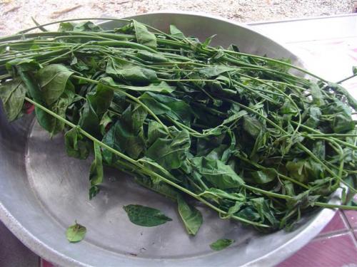 DSC03068 (Small).JPG