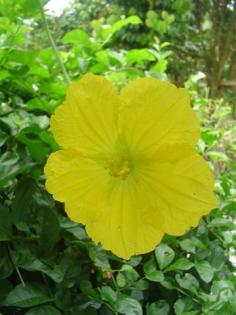 DSC03252 (Small).JPG