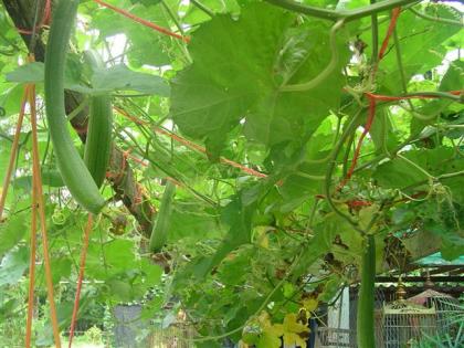 DSC03278 (Small).JPG