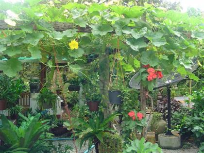 DSC03280 (Small).JPG