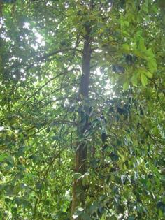 DSC03357 (Small).JPG