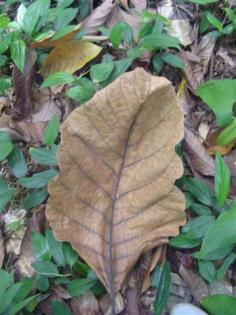 DSC03421 (Small).JPG