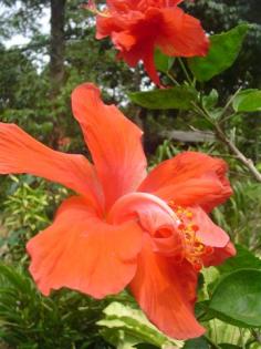 DSC03504 (Small)_0.JPG