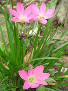 DSC03529 (Small).JPG