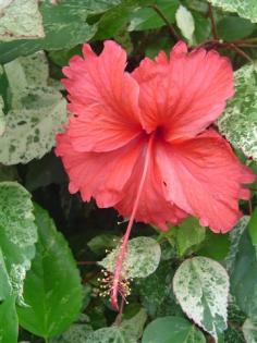 DSC03555 (Small)_0.JPG