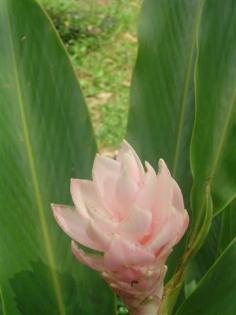 DSC03674 (Small).JPG