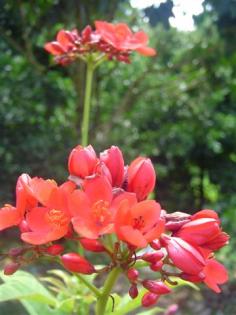 DSC03731 (Small).JPG