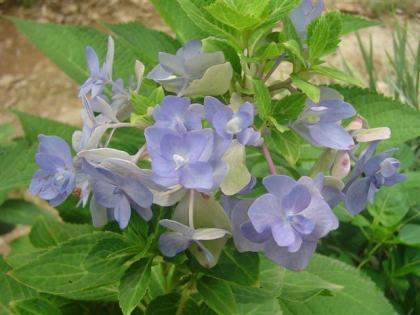 DSC03835 (Small).JPG