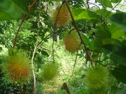 DSC04498 (Small).JPG