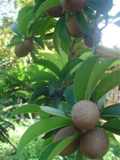 DSC04569 (Small).JPG