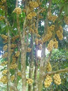 DSC04586 (Small).JPG