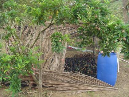 DSC04715 (Small).JPG