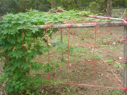 DSC04833 (Small).JPG