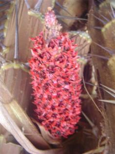 DSC04839 (Small).JPG