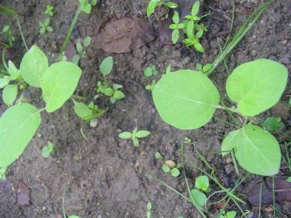 DSC04849 (Small).JPG