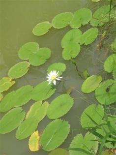 DSC04909 (Small).JPG