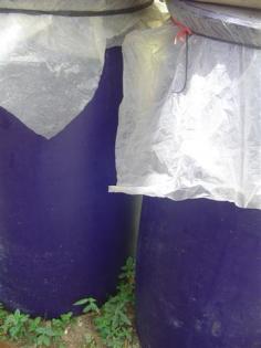 DSC04926 (Small).JPG