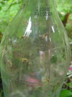 DSC04927 (Small).JPG