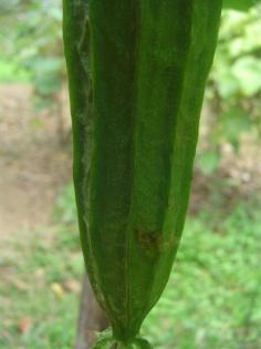 DSC04929 (Small).JPG