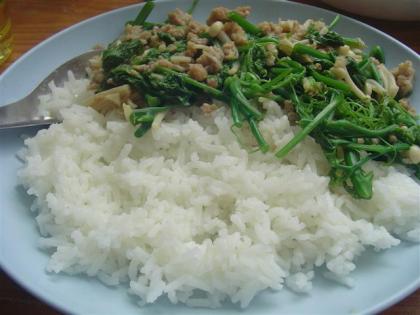 DSC05214 (Small) (Small).JPG