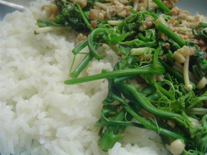 DSC05216 (Small) (Small).JPG