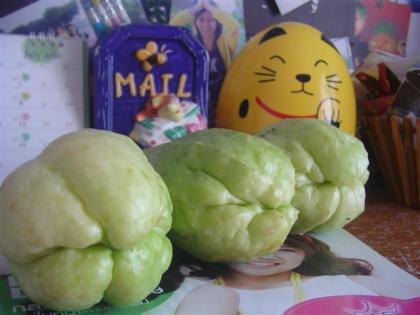 DSC05223 (Small) (Small).JPG