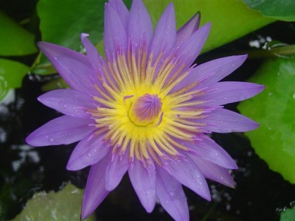 DSC05368 (Small)_0.JPG