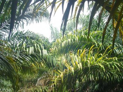 DSC05438 (Small).JPG