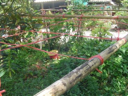 DSC05472 (Small).JPG