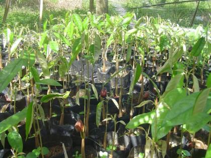 DSC05473 (Small).JPG