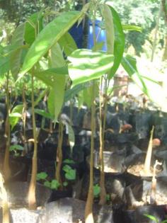 DSC05474 (Small).JPG