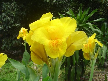 DSC05493 (Small)_0.JPG