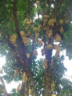 DSC05531 (Small).JPG