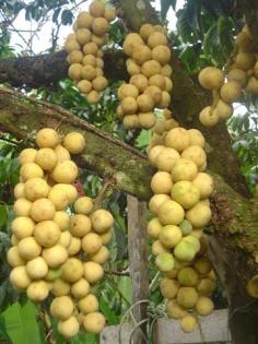 DSC05543 (Small).JPG