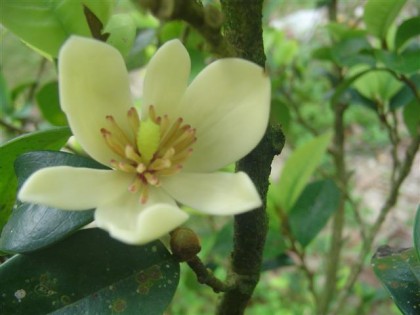 DSC05549 (Small).JPG