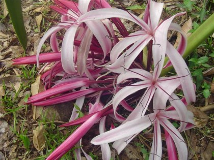 DSC05563 (Small).JPG