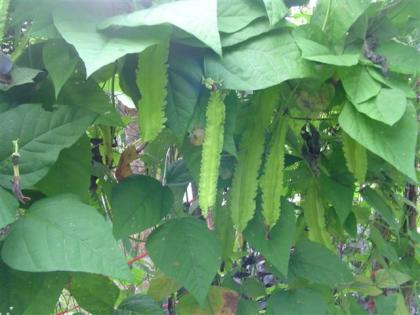 DSC05586 (Small).JPG