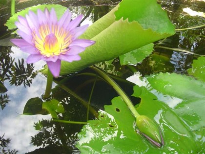 DSC05709 (Small).JPG