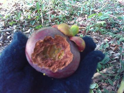 IMAG_0881 (Small) (Custom).jpg