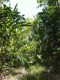 IMAG_0896 (Small) (Custom).jpg