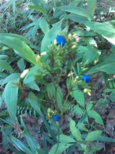 IMAG_0907 (Small) (Custom)_0.jpg