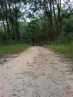 IMAG_1050 (Small) (Custom).jpg