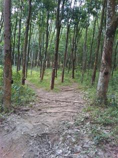 IMAG_1052 (Small) (Custom).jpg